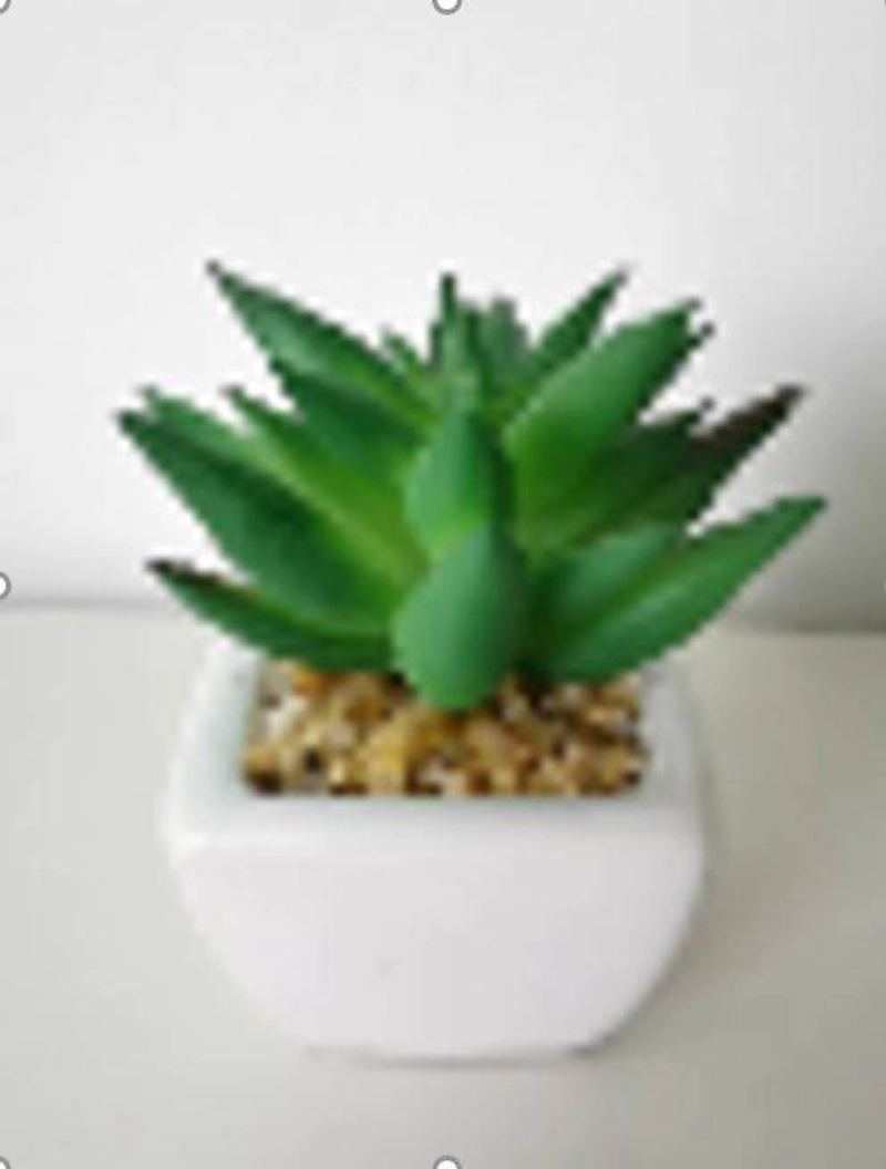 Product image Aonez Mini White Square Pots Succulent Bonsai Laughing Lotus Green 100 gram putih hijau