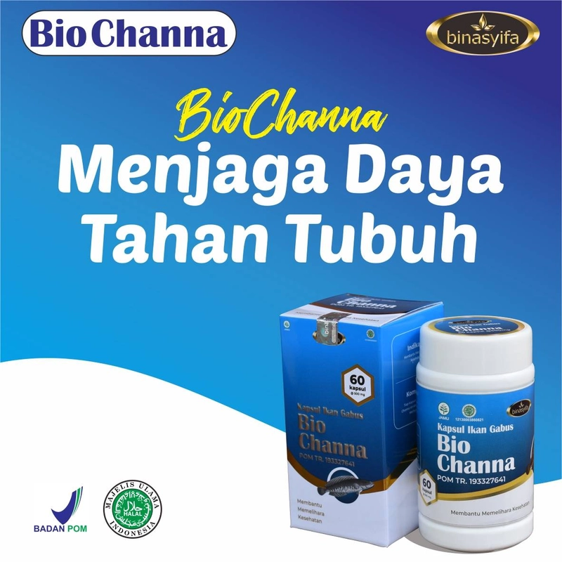 Product image BIOCHANNA Kapsul Albumin Ekstrak Ikan Gabus Obat Luka Pasca Operasi Ekstrak Ikan Gabus/ Kutuk Herbal 60 Kapsul Herbal