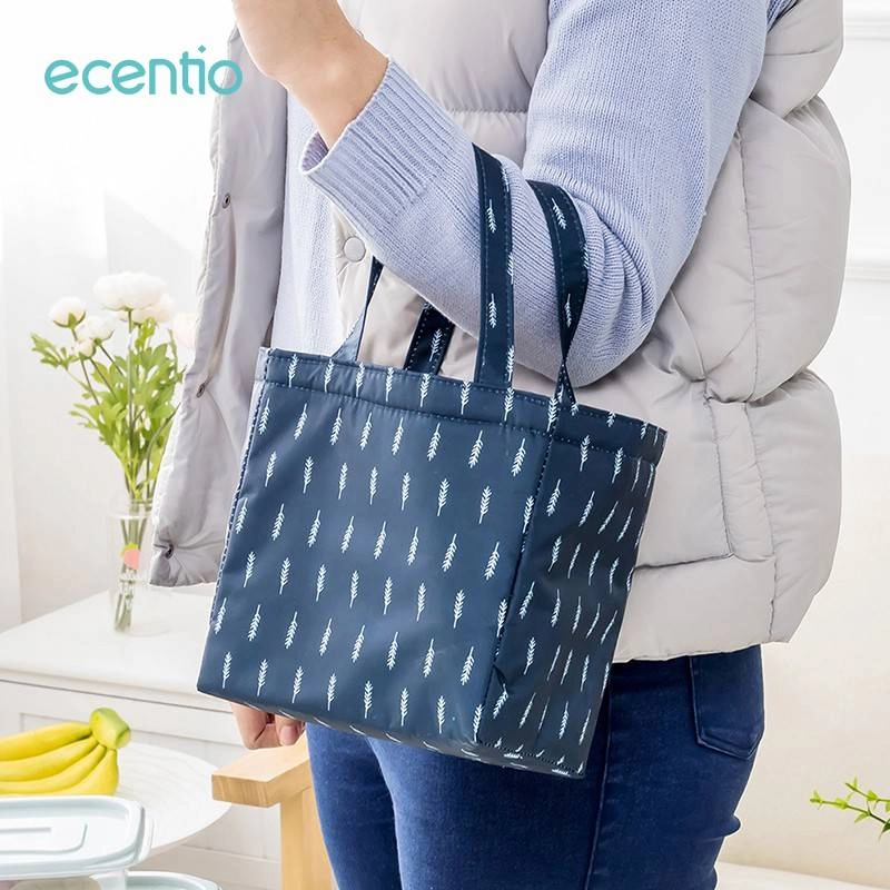 Ecentio Insulated Lunch Bag IILBE-0605 Purplish Blue 23.5 x 19 x 12cm