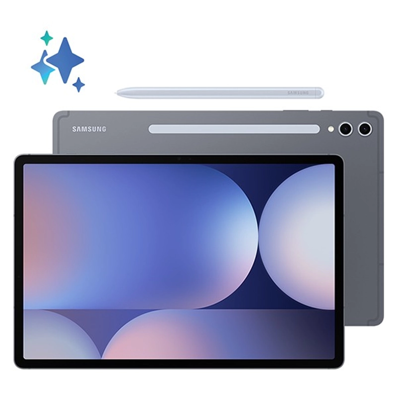Product image Samsung Galaxy Tab S10+ Wi-Fi/5G 12/256GB - Moonstone Gray Wifi Only all variant