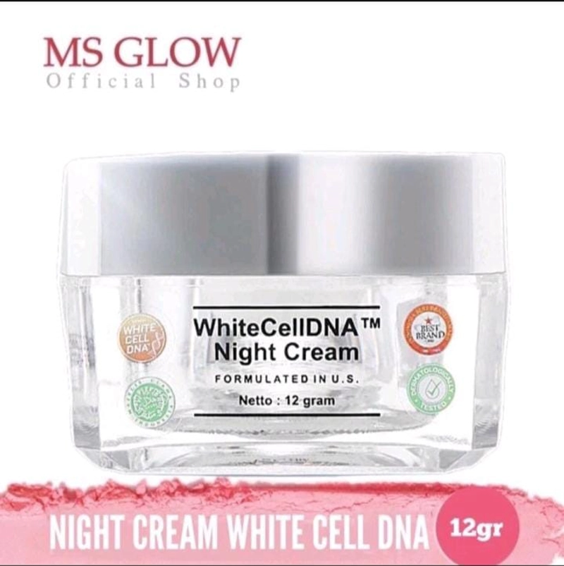 Product image MS Glow Purwakarta - Whitecelldna Night Cream 12g Msglow