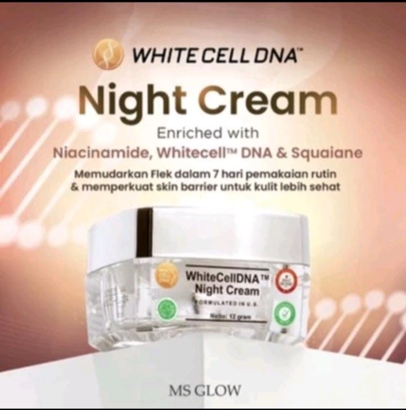 Product image MS Glow Purwakarta - Whitecelldna Night Cream 12g Msglow