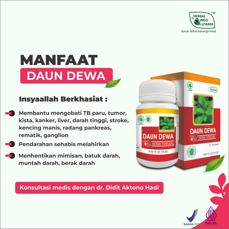 Product image Herbal Indo Utama - Kapsul Daun Dewa Obat TB Paru Tumor Kanker Atasi Darah Tinggi isi 60 Kaps 1 Botol 60 Kapsul DAUN DEWA