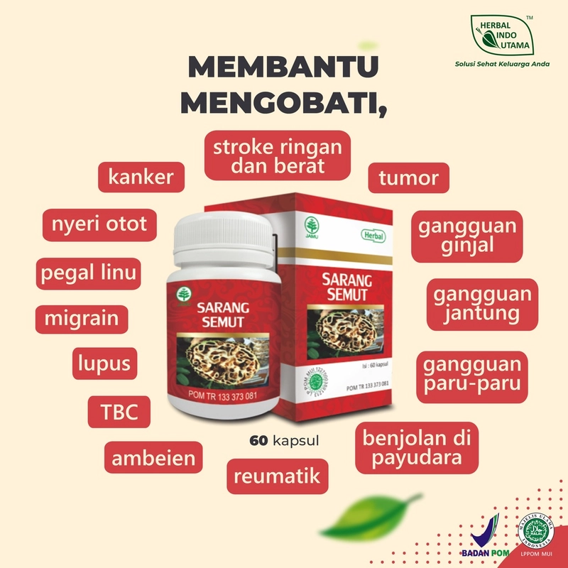 Product image Herbal Indo Utama - Paket Terapi Herbal Mengatasi dan Mengobati Ambein Herbal Indo Utama 150 gr Paket Herbal Ambien