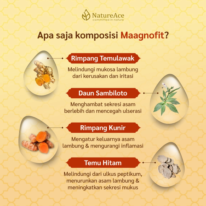Product image Nature Ace - Maagnofit 20 Kapsul