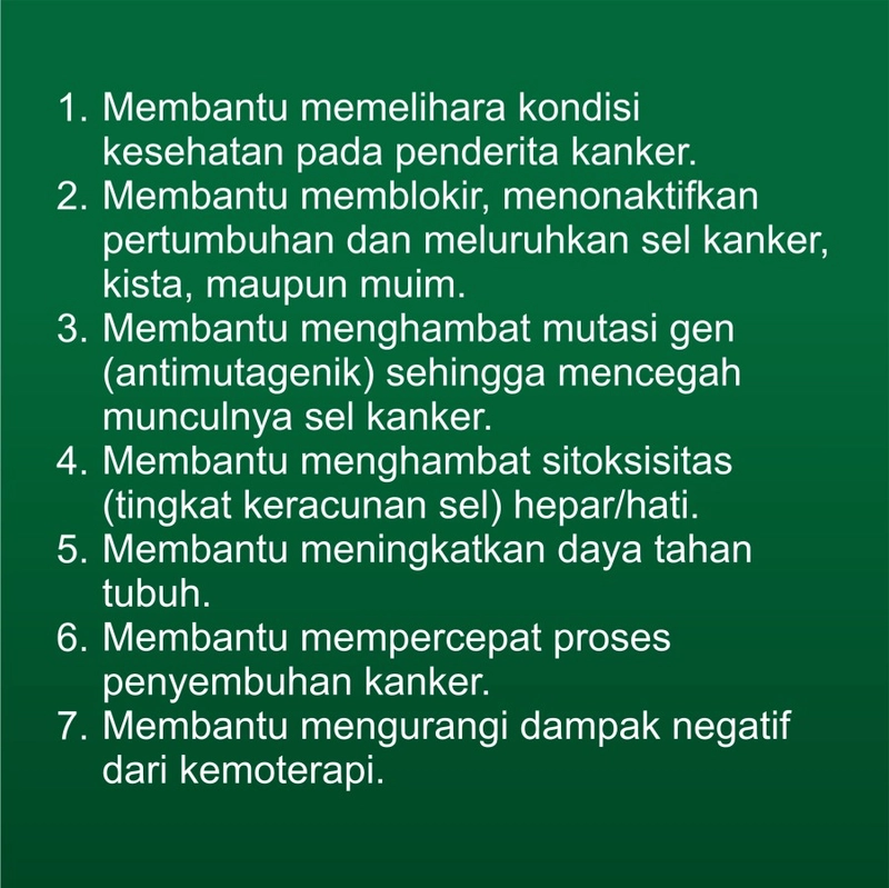 Product image Alomampa Herbal - Zedoril 500mg Per Kapsul Per Botol