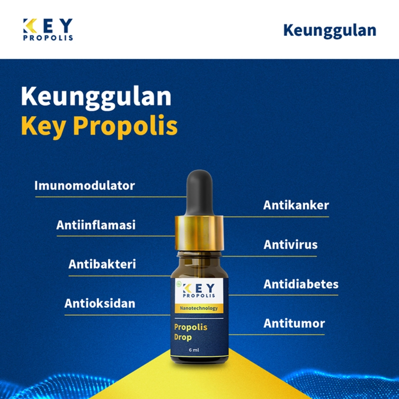 Product image KEY Propolis Official - [Free Gift Kapsul Keyslim] Bundle 3pcs Propolis Key drop Bundle 3pcs