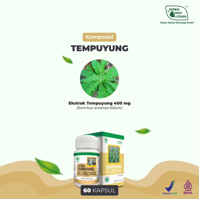 Product image Herbal Indo Utama - Herbal TEMPUYUNG Obat Batu Ginjal Saluran Kencing Herbal Indo Utama isi 60 Kaps 1 Botol 60 Kapsul TEMPUYUNG