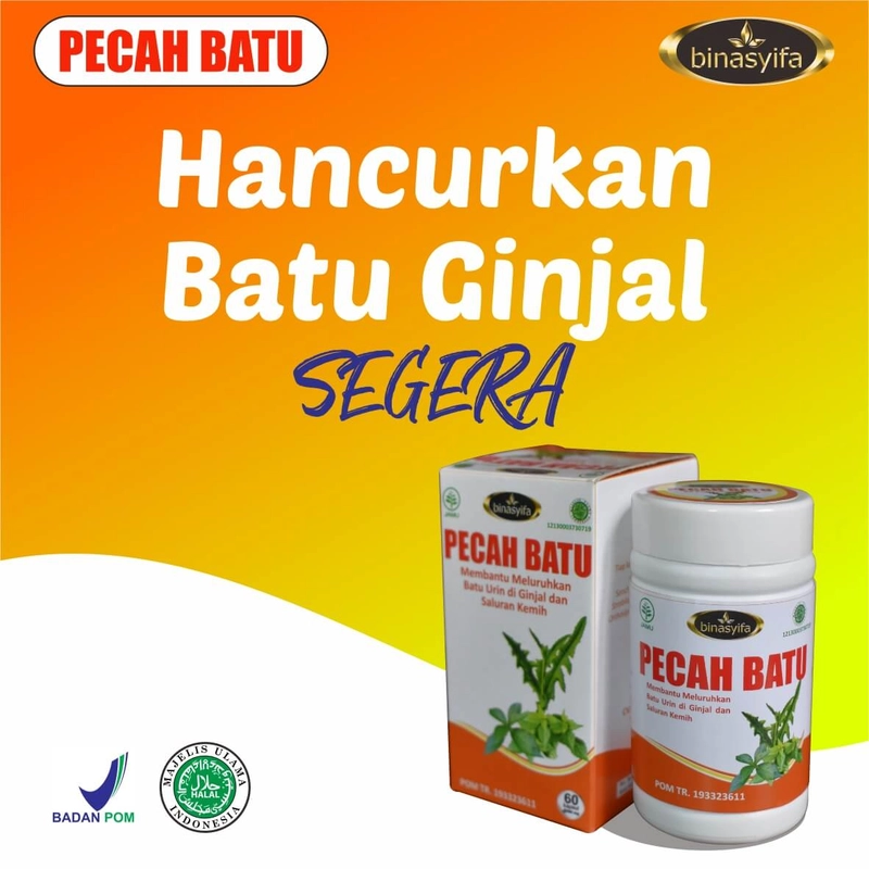 Product image PECAH BATU Obat Batu Ginjal Sakit Pinggang Penghacur Batu Ginjal Infeksi Saluran Kemih Kencing BPOM 60 kapsul Herbal