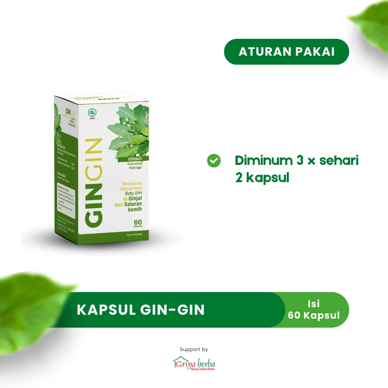 Product image Griya Herba - Gingin Obat Herbal Membantu Mengobati Batu Ginjal Gin Gin Halal BPOM 60 Kapsul Original