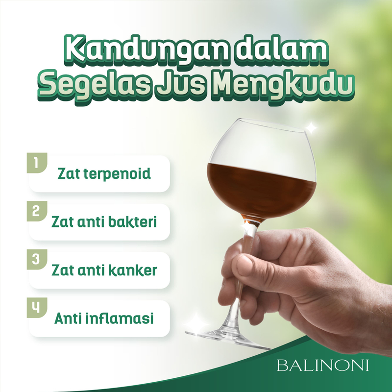 Product image SERAMBI BOTANI - Jus Mengkudu Sari Buah Mengkudu Noni juice - Bali Noni 750ml Bali Noni