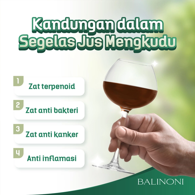 Product image SERAMBI BOTANI - Jus Mengkudu Sari Buah Mengkudu Noni juice - Bali Noni 750ml Bali Noni