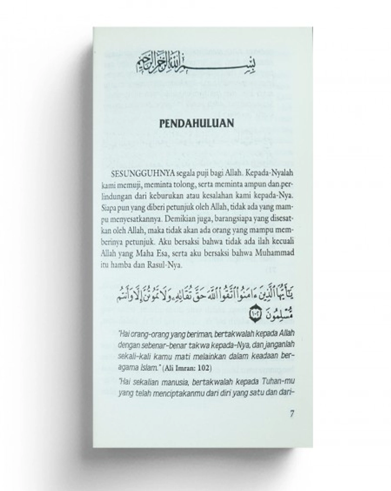 Product image Gema Insani - Hakikat Pertolongan dan Kemenangan 18 x 12 cm SC