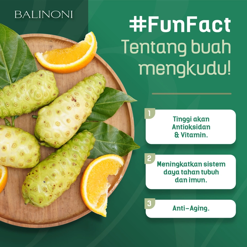 Product image SERAMBI BOTANI - Jus Mengkudu Sari Buah Mengkudu Noni juice - Bali Noni 750ml Bali Noni