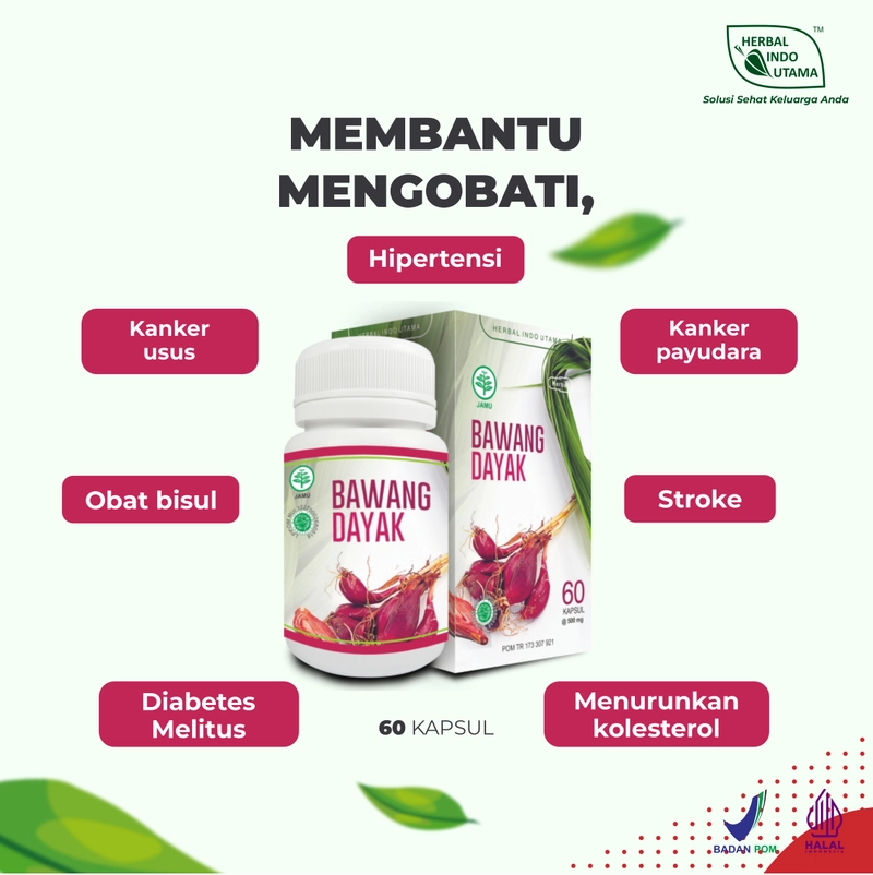 Product image Herbal Indo Utama - Kapsul Bawang Dayak Obat Diabetes Hipertensi Kolesterol Herbal Indo Utama 1 Botol 60 Kapsul BAWANG DAYAK