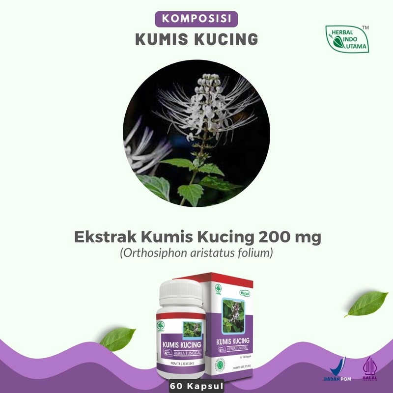 Product image Herbal Indo Utama - Kapsul Kumis Kucing Obat Tekanan Darah Tinggi Hipertensi 60 Kapsul 60 Kapsul Kapsul Serbuk