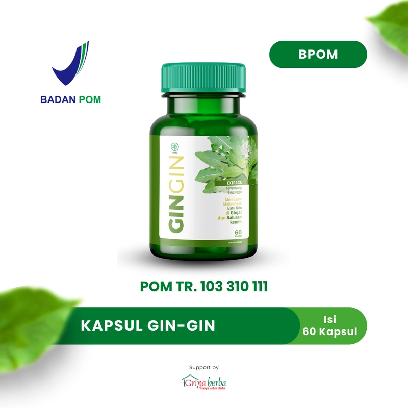 Product image Griya Herba - Gingin Obat Herbal Membantu Mengobati Batu Ginjal Gin Gin Halal BPOM 60 Kapsul Original