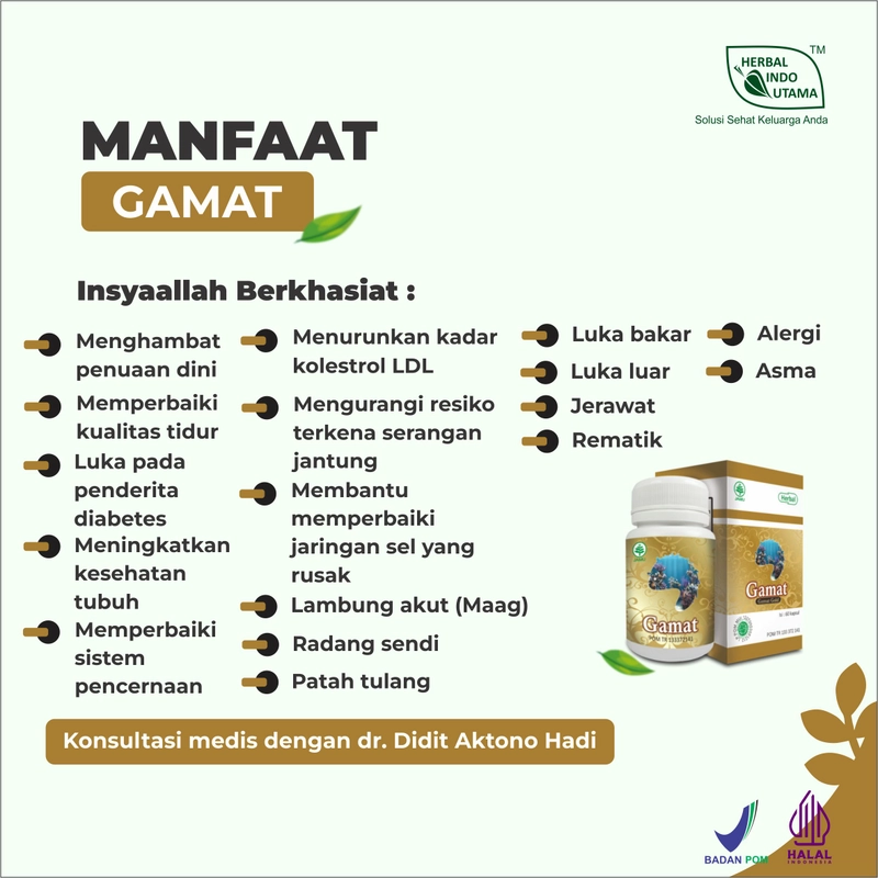 Product image Herbal Indo Utama - Paket Terapi Herbal Mengatasi dan Mengobati Luka Diabetes 200 gr Paket Herbal Luka