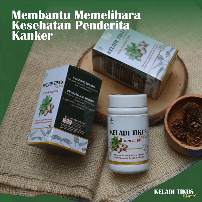 Product image KELADI TIKUS Kapsul Obat Kanker Herbal Benjolan Kista Miom Tiroid Pereda Nyeri Binasyifa Herbal 60 kapsul Herbal