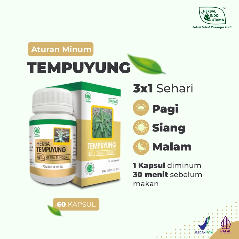 Product image Herbal Indo Utama - Herbal TEMPUYUNG Obat Batu Ginjal Saluran Kencing Herbal Indo Utama isi 60 Kaps 1 Botol 60 Kapsul TEMPUYUNG