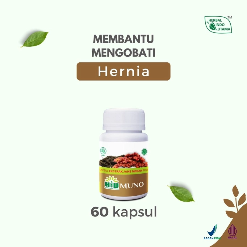 Product image Herbal Indo Utama - HIUMUNO Mengobati penyakit hernia 60 Kapsul 60 Kapsul Kapsul Serbuk