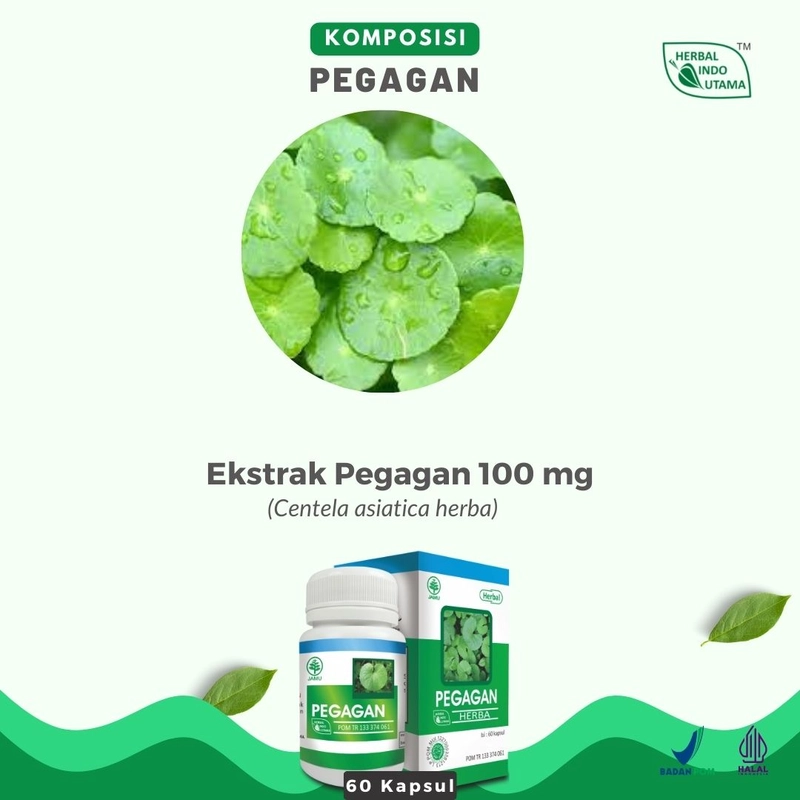 Product image Herbal Indo Utama - PEGAGAN Melancarkan Peredaran Darah 60 Kaps 60 Kapsul Kapsul Serbuk