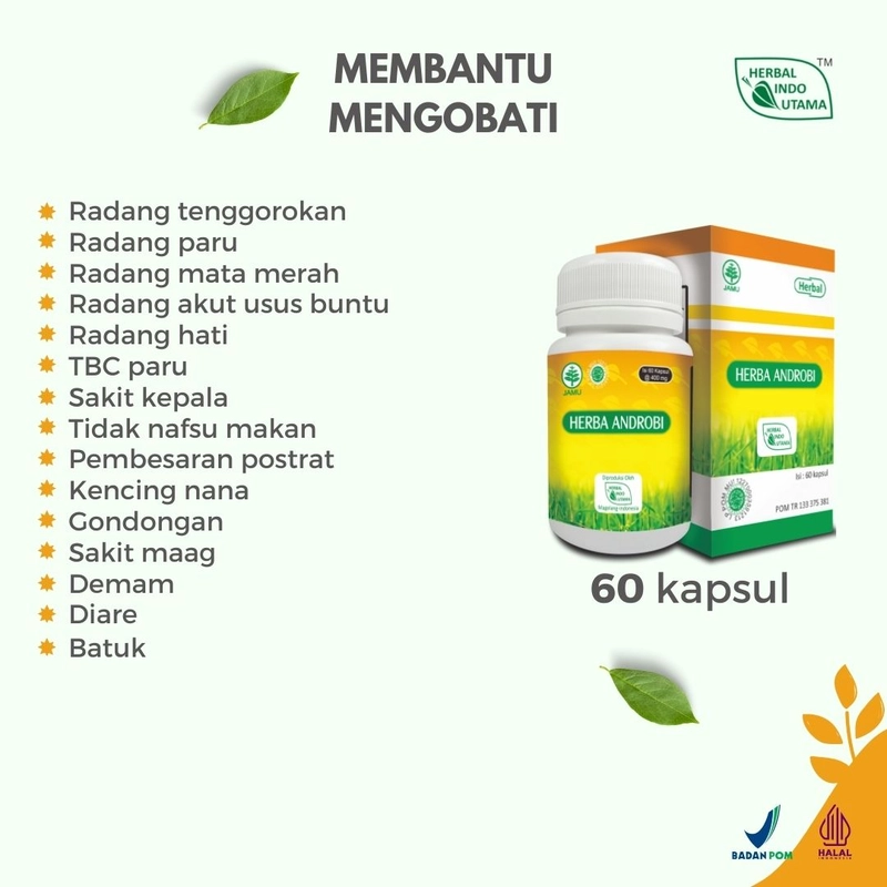 Product image Herbal Indo Utama - Paket Terapi Herbal Mengatasi dan Mengobati Luka Diabetes 200 gr Paket Herbal Luka