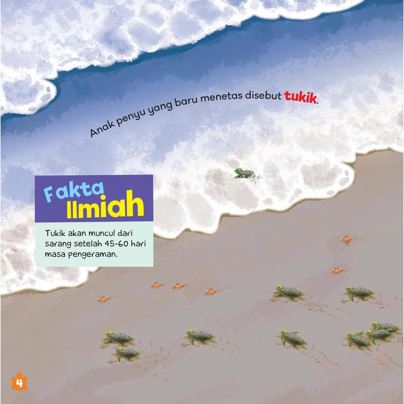 Product image Gema Insani - Seri Hewan Laut Pluk Pluk Penyu Menetas 23 x 22 SC