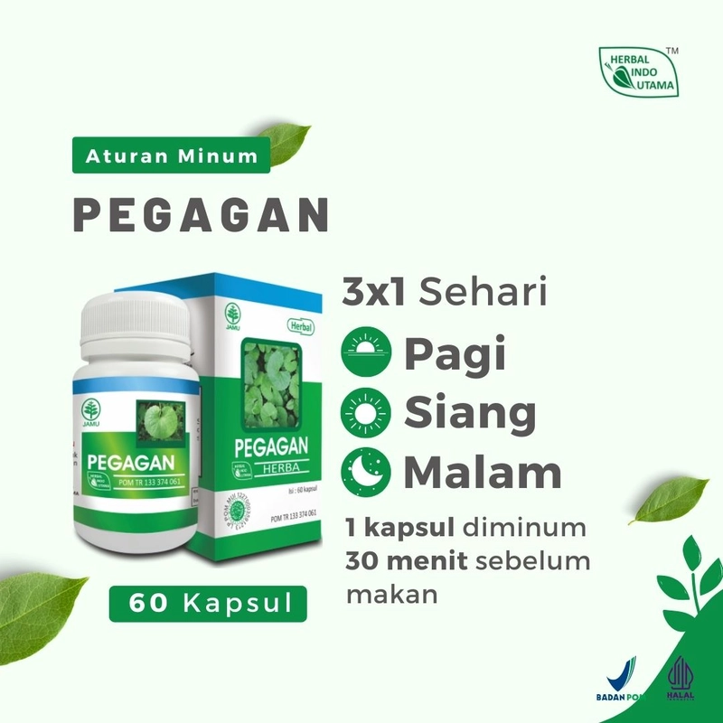 Product image Herbal Indo Utama - PEGAGAN Melancarkan Peredaran Darah 60 Kaps 60 Kapsul Kapsul Serbuk