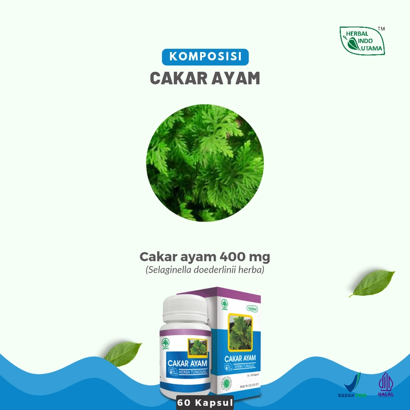 Product image Herbal Indo Utama - CAKAR AYAM Mengobati radang paru dan infeksi saluran pernafasan 60 kapsul 60 Kapsul Madu Anak