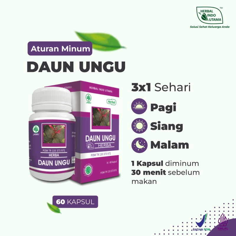 Product image Herbal Indo Utama - DAUN UNGU Obat Wasir Ambeien Herbal Indo Utama isi 60 Kaps 1 Botol 60 Kapsul DAUN UNGU