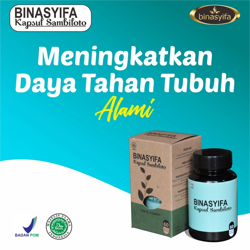 Product image KAPSUL SAMBILOTO Binasyifa Menormalkan Gula Darah Meningkatkan Imun Tubuh Menambah Daya Tahan Tubuh 60 kapsul Herbal