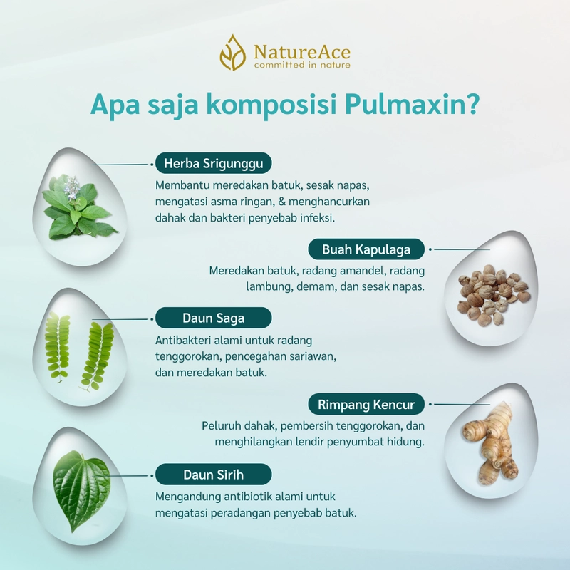 Product image Nature Ace - Pulmaxin 20 Kapsul