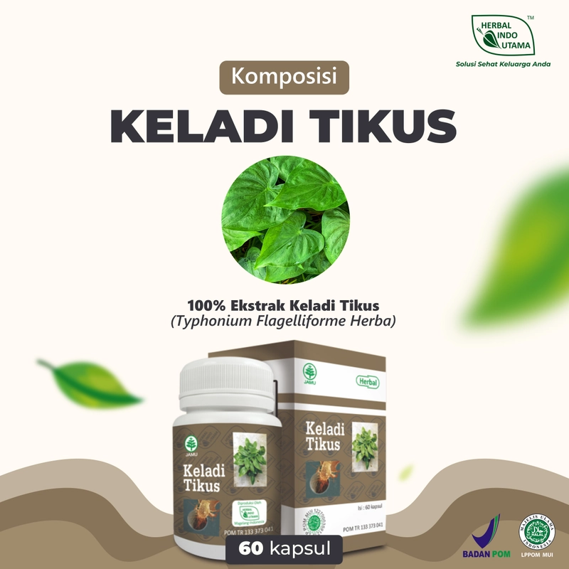Product image Herbal Indo Utama - Kapsul Keladi Tikus Obat Kanker Herbal Alami 60 Kapsul 60 Kapsul Kapsul Serbuk