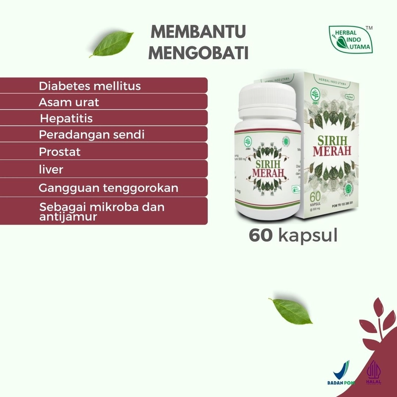 Product image Herbal Indo Utama - Kapsul SIRIH MERAH Obat Radang Sendi Prostat Liver 60 Kapsul 60 Kapsul Kapsul Serbuk