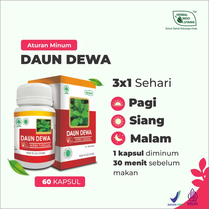 Product image Herbal Indo Utama - Kapsul Daun Dewa Obat TB Paru Tumor Kanker Atasi Darah Tinggi isi 60 Kaps 1 Botol 60 Kapsul DAUN DEWA