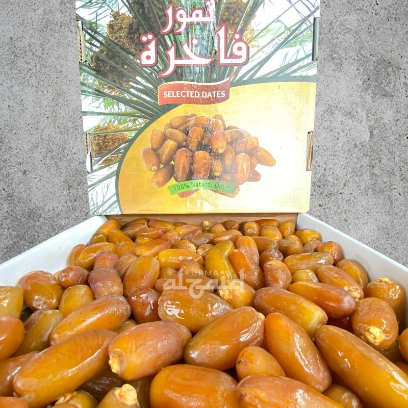 Al Zaid Kurma - Kurma Ruthob Libya 500g Manis