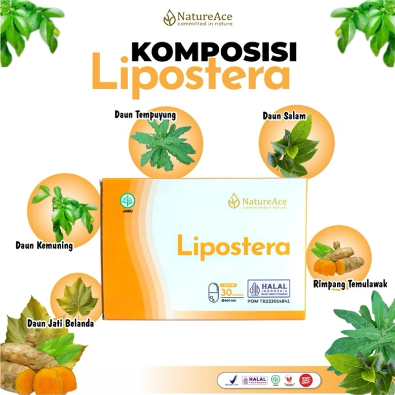 Product image Nature Ace - Lipostera 30 Kapsul