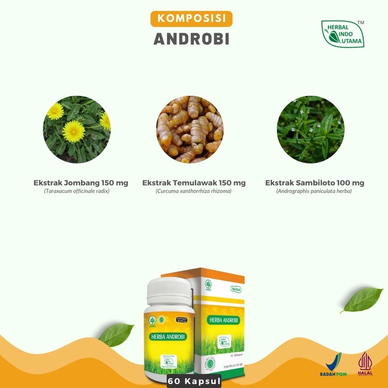 Product image Herbal Indo Utama - HERBA ANDROBI Obat Radang Tenggorokan 60 Kapsul 60 Kapsul Kapsul Serbuk