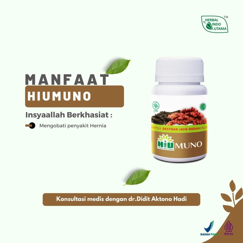 Product image Herbal Indo Utama - HIUMUNO Mengobati penyakit hernia 60 Kapsul 60 Kapsul Kapsul Serbuk