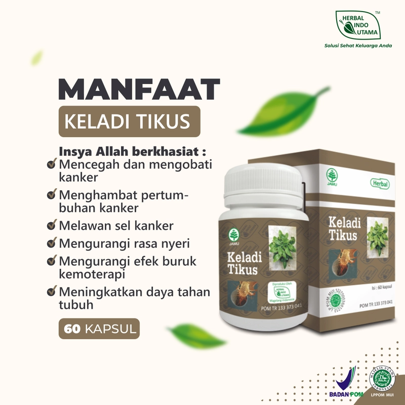 Product image Herbal Indo Utama - Paket Terapi Herbal Mioma Herbal Indo Utama 200 gr Paket Herbal Miom