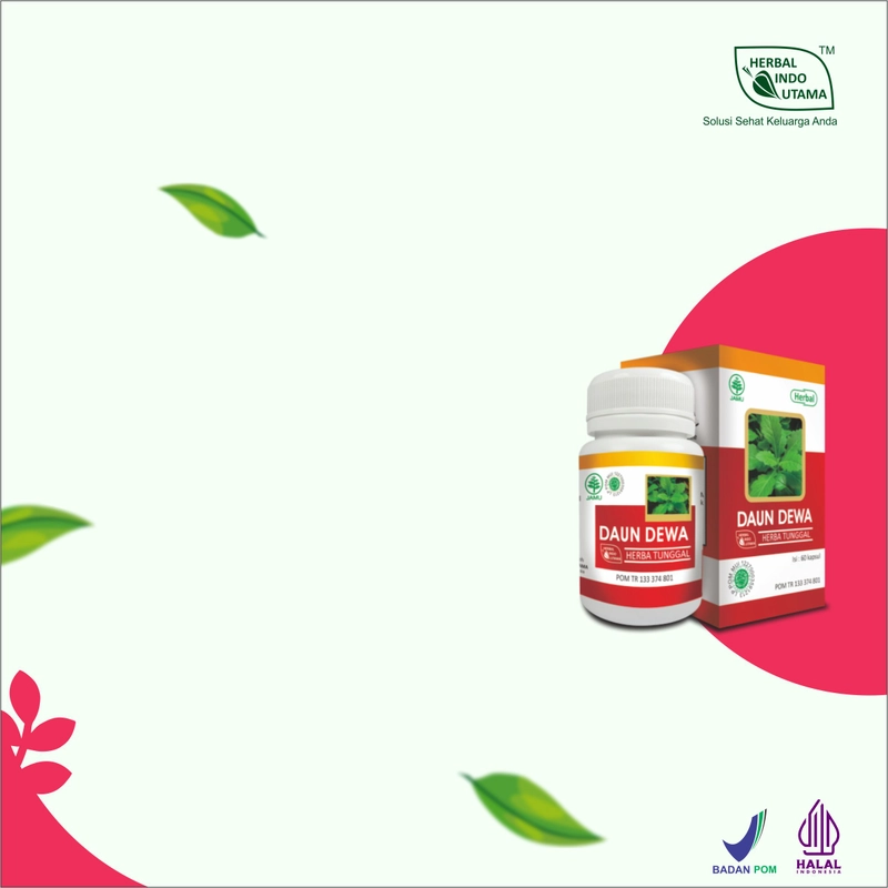 Product image Herbal Indo Utama - Kapsul Daun Dewa Obat TB Paru Tumor Kanker Atasi Darah Tinggi isi 60 Kaps 1 Botol 60 Kapsul DAUN DEWA