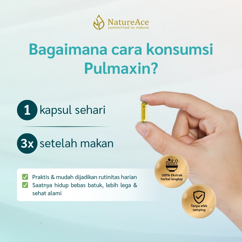 Product image Nature Ace - Pulmaxin 20 Kapsul