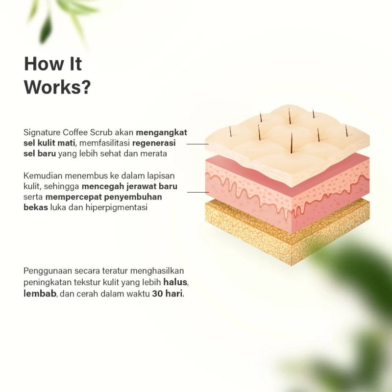Product image YAGI Forest - YAGI Forest - YAGI Forest - Signature Coffee Scrub 5 gram 5 gram putih