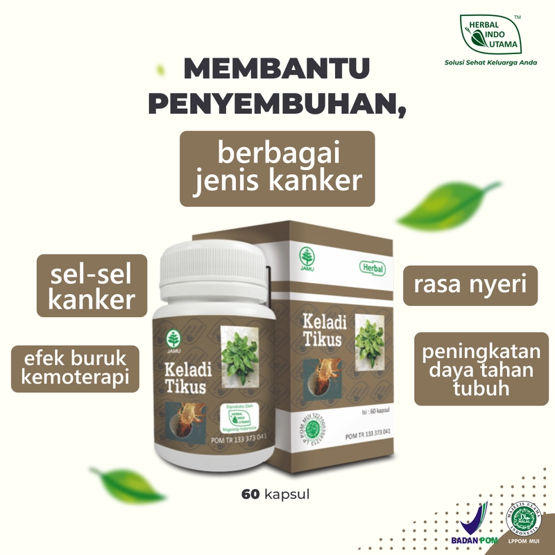 Product image Herbal Indo Utama - Kapsul Keladi Tikus Obat Kanker Herbal Alami 60 Kapsul 60 Kapsul Kapsul Serbuk