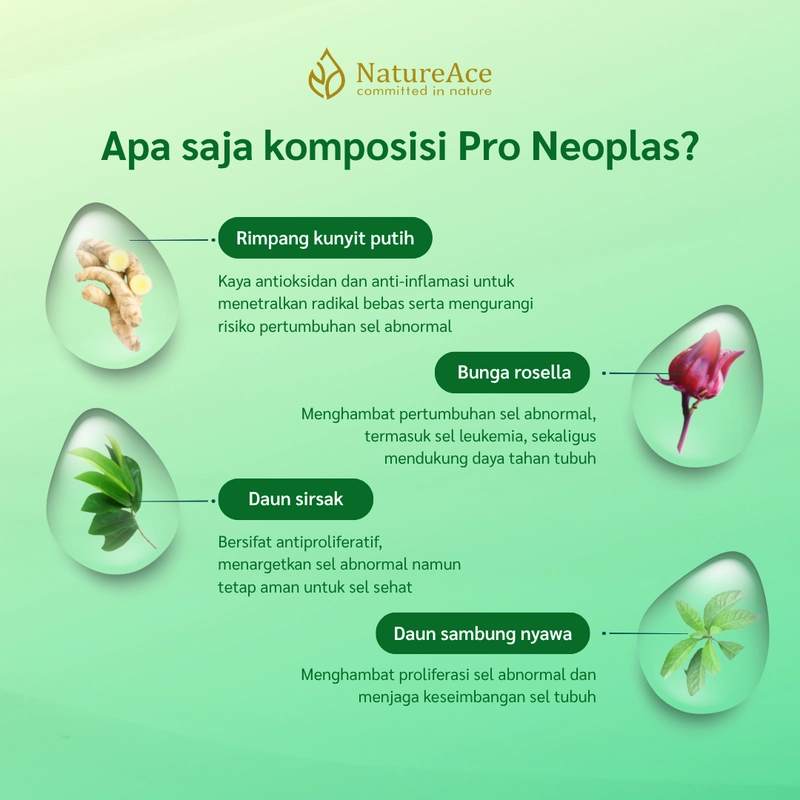 Product image Nature Ace - Pro Neoplas 20 Kapsul