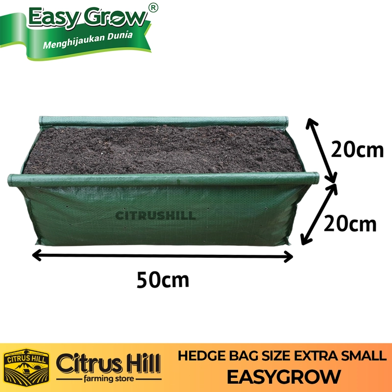 Product image Citrushill ID - Pot Persegi Panjang Hedge Bag XS HIJAU