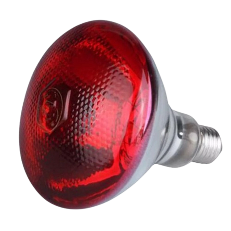 Product image Eleanor Farm Shop - Lampu Infrared Unggas Ayam Petelur Bebek Anjing Kucing Kambing Domba Sapi Varian 100w