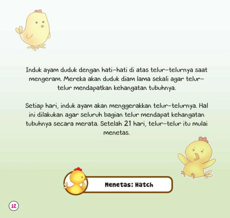 Product image Gema Insani - Cerita Si Ayam 20 x 21 SC