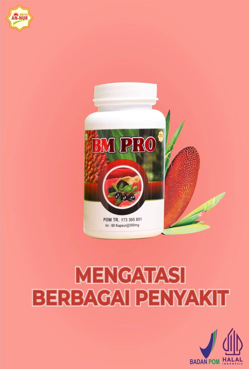 Product image Elhafidz Herbal - BM PRO - Buah Merah Red Oil Papua 500 Krem